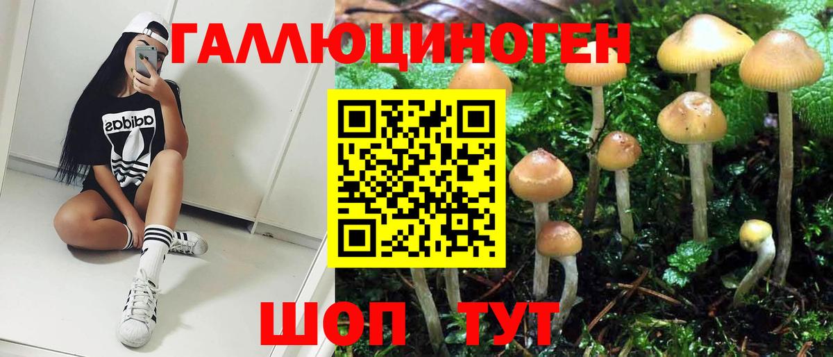 Гусев  Псилоцибиновые грибы Psilocybe  Галлюциногенные грибы Psilocybe  Вход с VPN 
